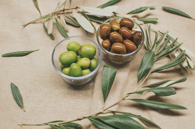 Mediterranean-Tropical Fusion