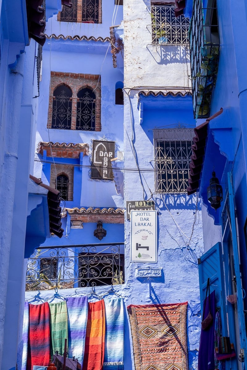 Scandinavian-Moroccan Fusion
